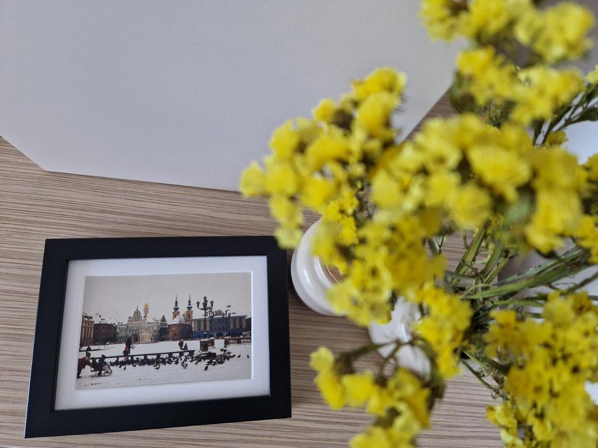 Apartmán Central Skystudio Temešvár Exteriér fotografie